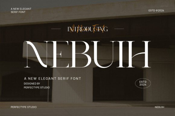 Nebuih: A Modern Serif Typeface for Web Design